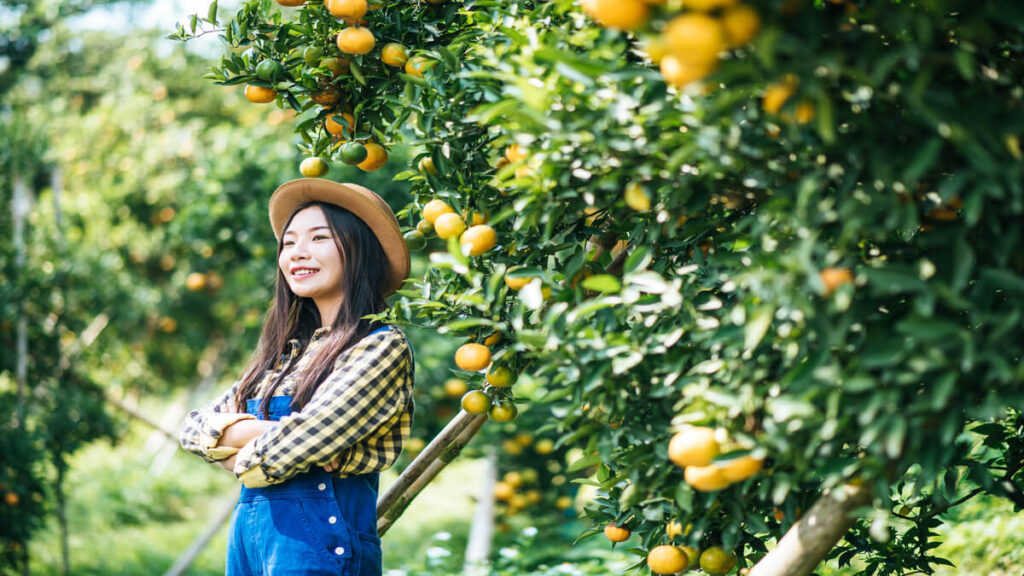 Citrus Academy Bursary