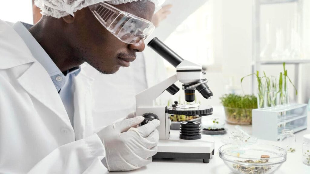 Postdoctoral Research Fellowship