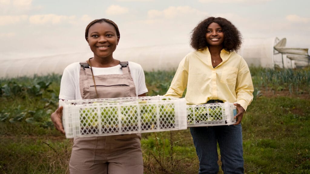 Limpopo Department of Agriculture and Rural Development Farm Aid