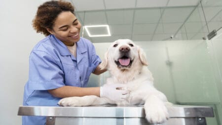Veterinary Science