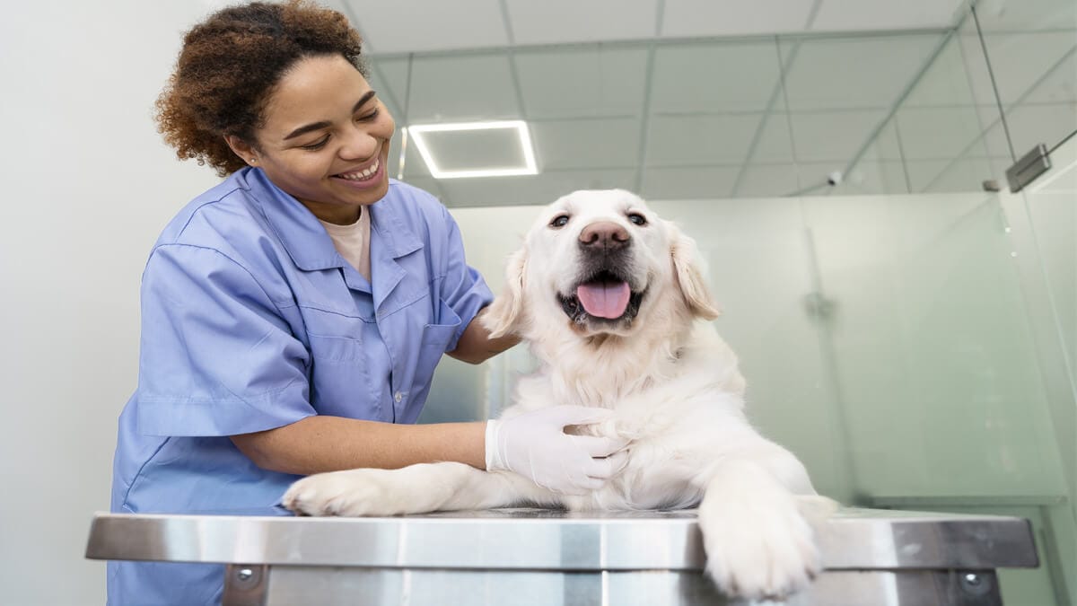 Veterinary Science