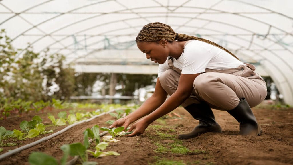 UMP DHET - New Generation of Academics Programme in Plant Breeding 