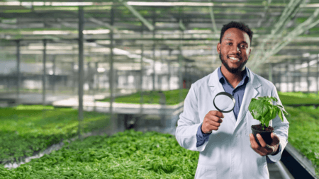 Job Opportunities at the Western Cape Department of Agriculture Job Opportunities at the Western Cape Department of Agriculture