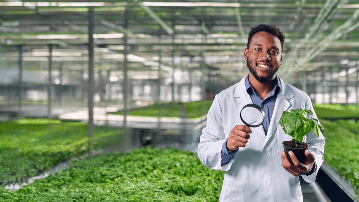 Job Opportunities at the Western Cape Department of Agriculture
