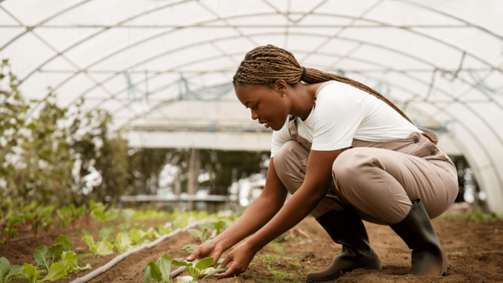 Job Prospects in the Department of Agriculture: Farming, Research, and Land Management