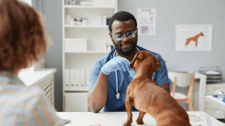 State Veterinarian Vacancy at Border Management Authority State Veterinarian Vacancy at Border Management Authority