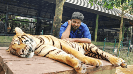 Johannesburg City parks and Zoo Vacancies (x2 posts)
