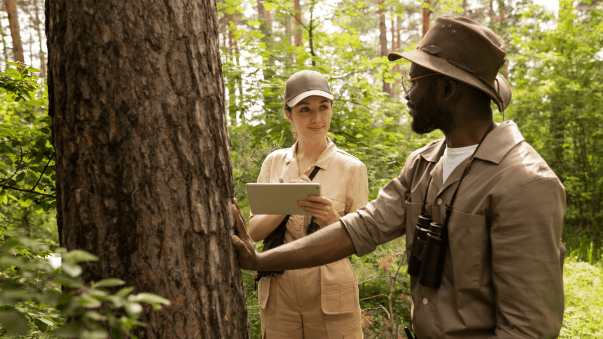 Park Ranger Vacancy at Johannesburg City Parks and Zoo (x1 post)