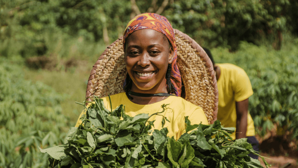 AgriSETA: A Comprehensive Guide to Agriculture SETA