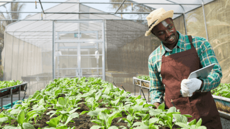 Forestry Internship Opportunity at UNIVEN