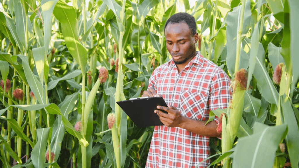 Mpumalanga Department of Agriculture Vacancies - Apply Now