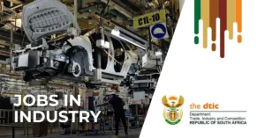 Department of Trade, Industry and Competition (the dtic) category image