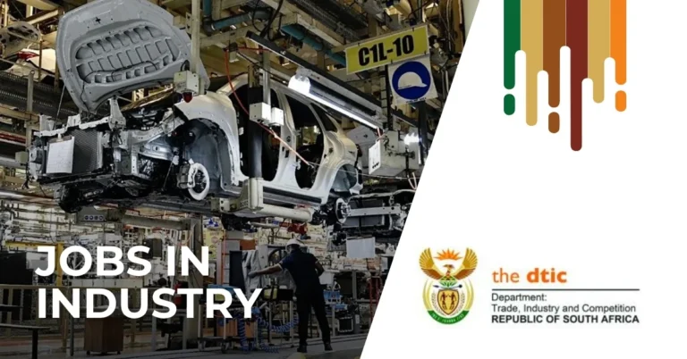 Department of Trade, Industry and Competition (the dtic)
