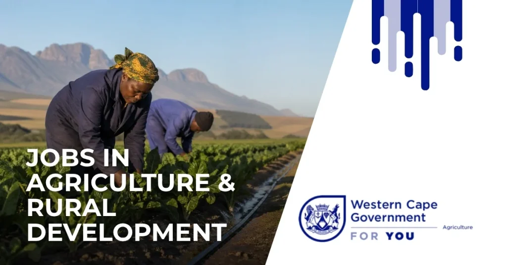 DEPUTY DIRECTOR-GENERAL: AGRICULTURAL DEVELOPMENT AND SUPPORT SERVICES Western Cape Department of Agriculture jobs and vacancies